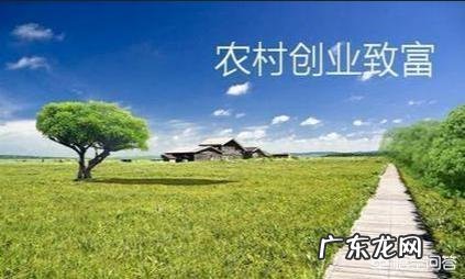 在农村找人办事真难? 为什么农村人创业那么难?