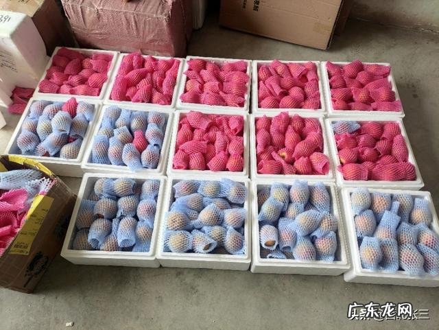 在农村找人办事真难? 为什么农村人创业那么难?