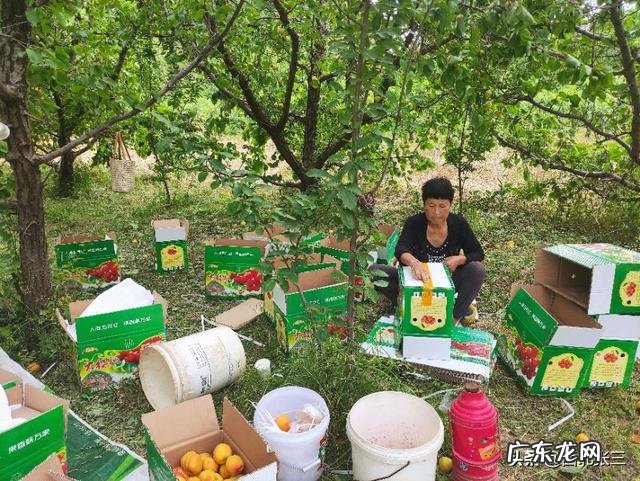 在农村找人办事真难? 为什么农村人创业那么难?