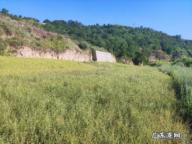 在农村找人办事真难? 为什么农村人创业那么难?