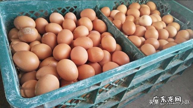 养殖业什么最稳成本低? 农村的创业成本低,为什么在村里创业成功的人少?