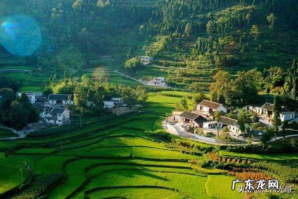 养殖业什么最稳成本低? 农村的创业成本低,为什么在村里创业成功的人少?