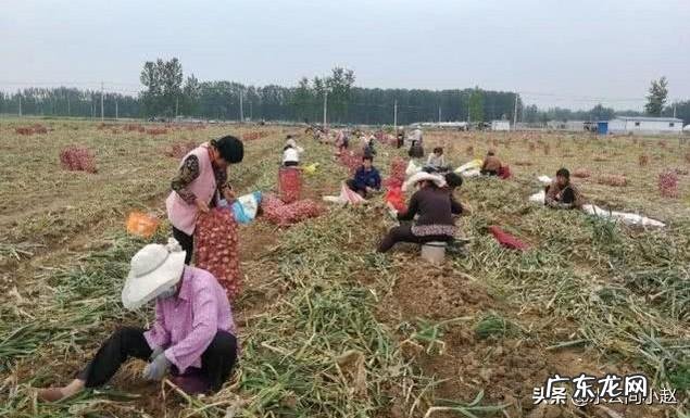 养殖业什么最稳成本低? 农村的创业成本低,为什么在村里创业成功的人少?