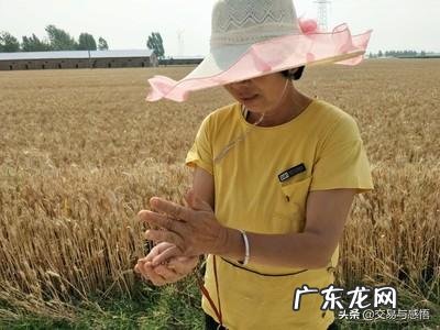 养殖业什么最稳成本低? 农村的创业成本低,为什么在村里创业成功的人少?