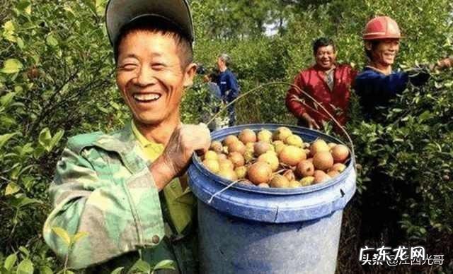 养殖业什么最稳成本低? 农村的创业成本低,为什么在村里创业成功的人少?