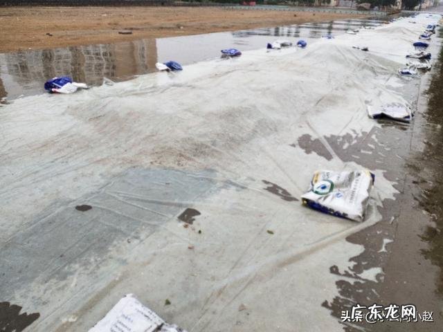 养殖业什么最稳成本低? 农村的创业成本低,为什么在村里创业成功的人少?