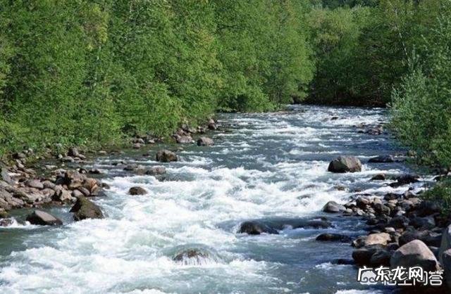 农村创业养殖好项目? 在农村做养殖创业,需要注意的问题有哪些?