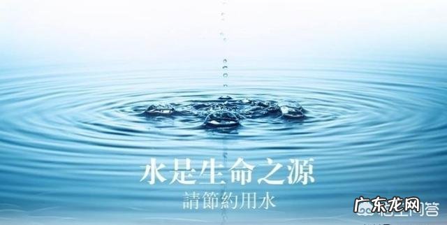 农村创业养殖好项目? 在农村做养殖创业,需要注意的问题有哪些?