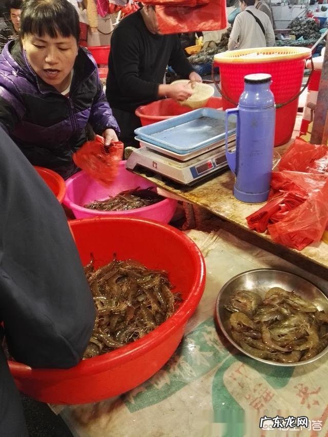 农村创业养殖好项目? 在农村做养殖创业,需要注意的问题有哪些?