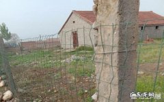 农村创业养殖好项目？ 在农村做养殖创业，需要注意的问题有哪些？