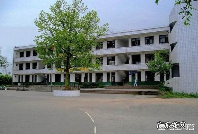 农村创业养殖好项目? 在农村做养殖创业,需要注意的问题有哪些?