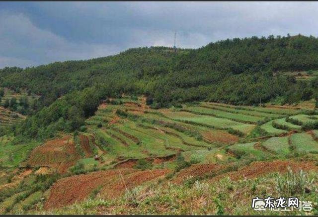 农村创业养殖好项目? 在农村做养殖创业,需要注意的问题有哪些?