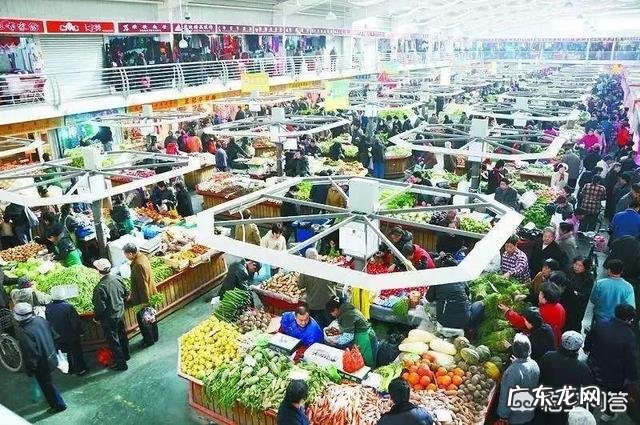 农村创业养殖好项目? 在农村做养殖创业,需要注意的问题有哪些?