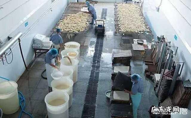 农村适合开什么加工厂？ 在乡镇开个什么加工厂好？