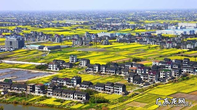 农村适合开什么加工厂? 在乡镇开个什么加工厂好?