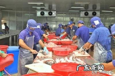 农村适合开什么加工厂？ 在乡镇开个什么加工厂好？