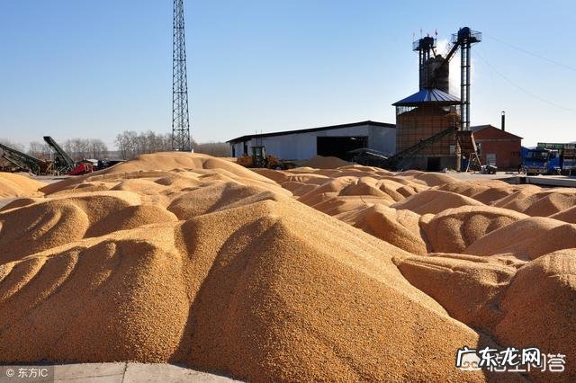 农村适合开什么加工厂？ 在乡镇开个什么加工厂好？