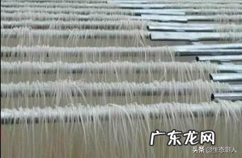 农村适合开什么加工厂？ 在乡镇开个什么加工厂好？