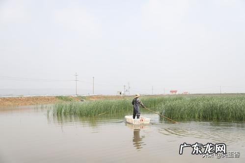 农村创业成功案例视频？ 为什么农村人在农村创业很难有成功的？