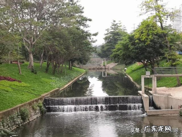 农村创业成功案例视频? 为什么农村人在农村创业很难有成功的?