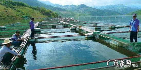 农村创业成功案例视频？ 为什么农村人在农村创业很难有成功的？