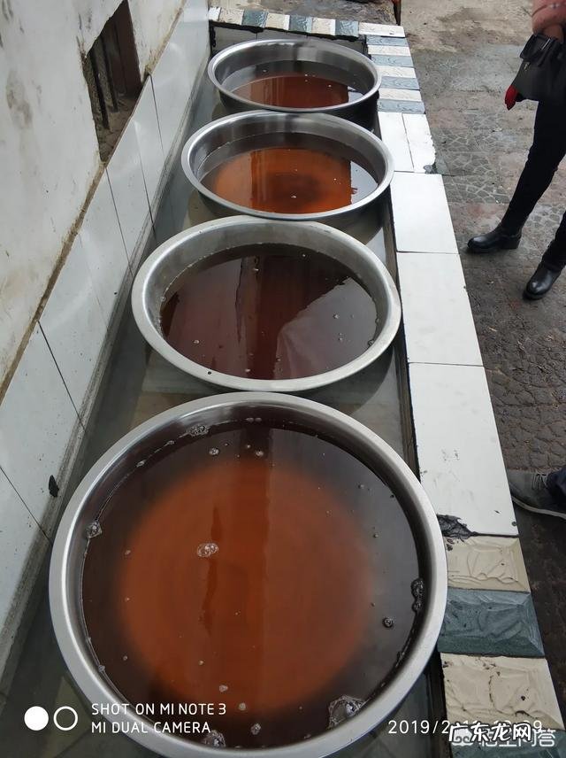 农村做什么项目比较好? 2019年农村创业做什么好?种植和养殖哪个最赚钱?