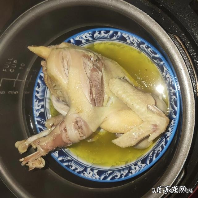 土鸡养殖视频？ 为什么在一些农村创业搞养殖土鸡没有出路，有时还要赔钱？