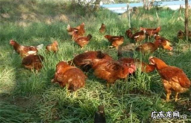 28岁身无分文怎么办？ 身无分文，想回农村创业，该怎么办？