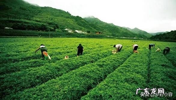 28岁身无分文怎么办？ 身无分文，想回农村创业，该怎么办？