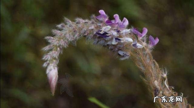 28岁身无分文怎么办？ 身无分文，想回农村创业，该怎么办？