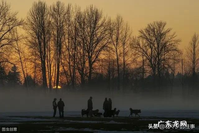 28岁身无分文怎么办? 身无分文,想回农村创业,该怎么办?