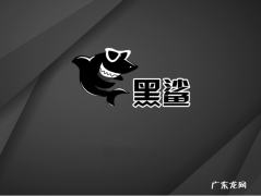 如何用u盘重装系统 黑鲨装机大师一键重装系统靠谱吗的介绍