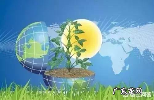 如何做到低成本高效率? 如何做到低成本创业?