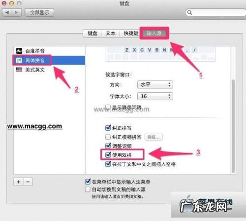 百度输入法双拼皮肤? 如何在Mavericks下开启系统内置双拼输入法