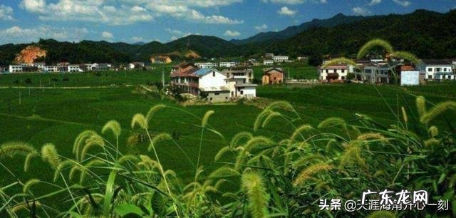 乡村里的年轻人? 有多少年轻人愿意回农村发展农业,助力乡村振兴计划?