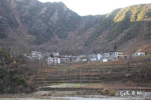 乡村里的年轻人? 有多少年轻人愿意回农村发展农业,助力乡村振兴计划?