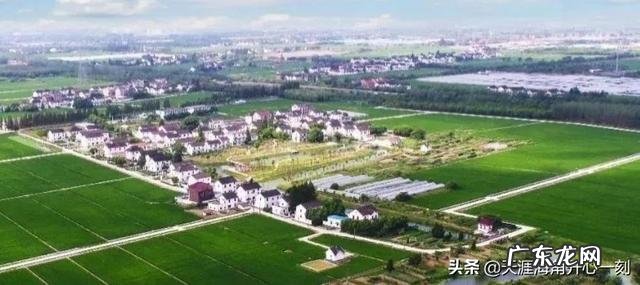 乡村里的年轻人? 有多少年轻人愿意回农村发展农业,助力乡村振兴计划?