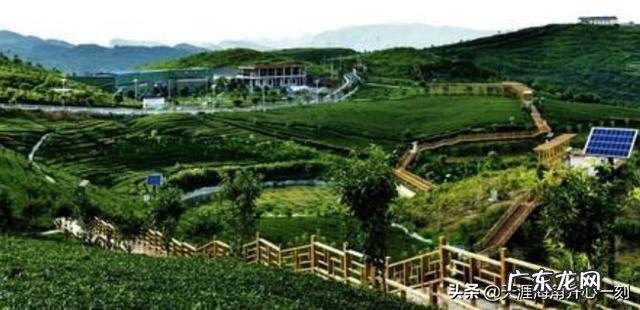 乡村里的年轻人? 有多少年轻人愿意回农村发展农业,助力乡村振兴计划?