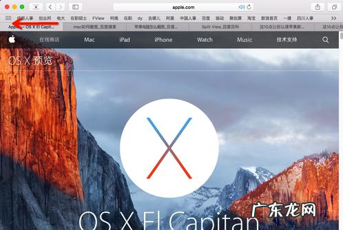 固定标签页是什么意思? Mac系统如何开启网页标签固定功能?