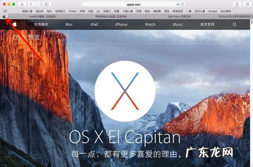 固定标签页是什么意思? Mac系统如何开启网页标签固定功能?