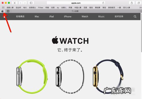 固定标签页是什么意思? Mac系统如何开启网页标签固定功能?