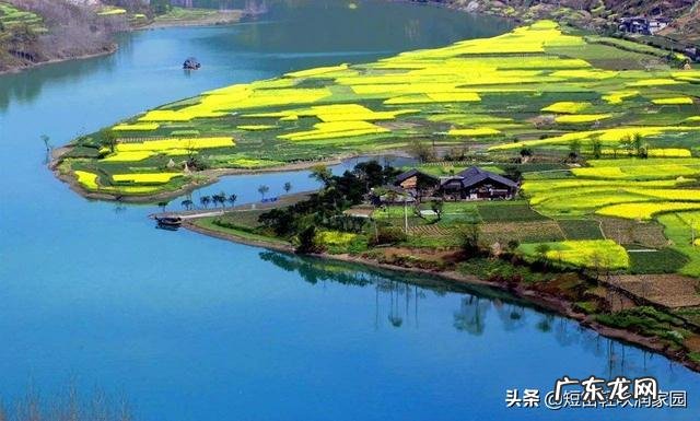 乡村振兴还得靠年轻人？ 农村还能不能留住年轻人？