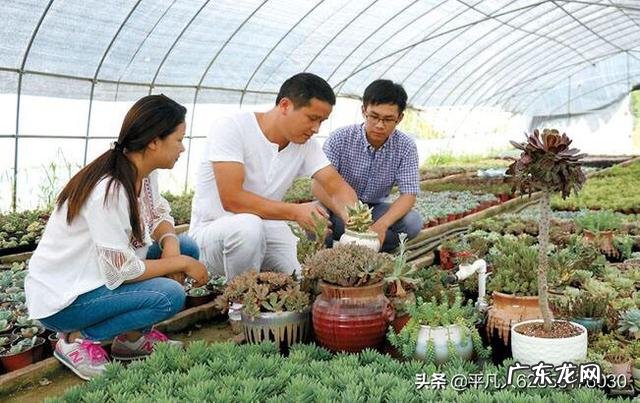 乡村振兴还得靠年轻人？ 农村还能不能留住年轻人？