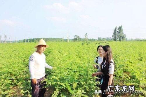 乡村振兴还得靠年轻人？ 农村还能不能留住年轻人？