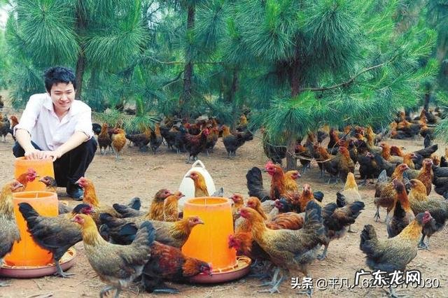 乡村振兴还得靠年轻人？ 农村还能不能留住年轻人？