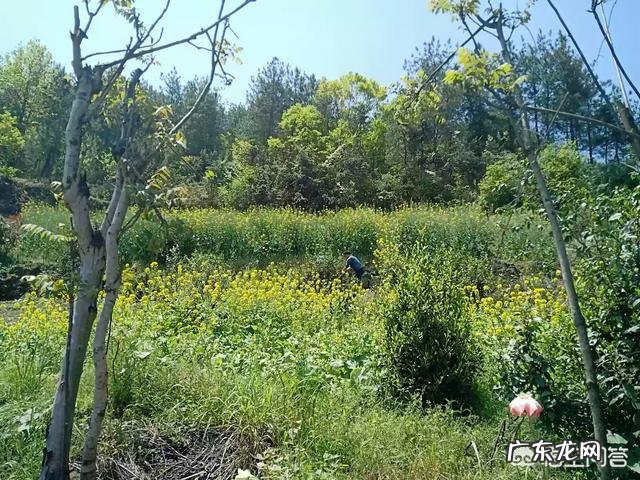 乡村振兴还得靠年轻人? 农村还能不能留住年轻人?