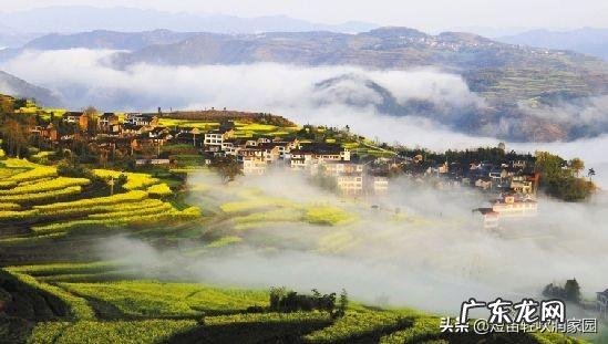 乡村振兴还得靠年轻人？ 农村还能不能留住年轻人？