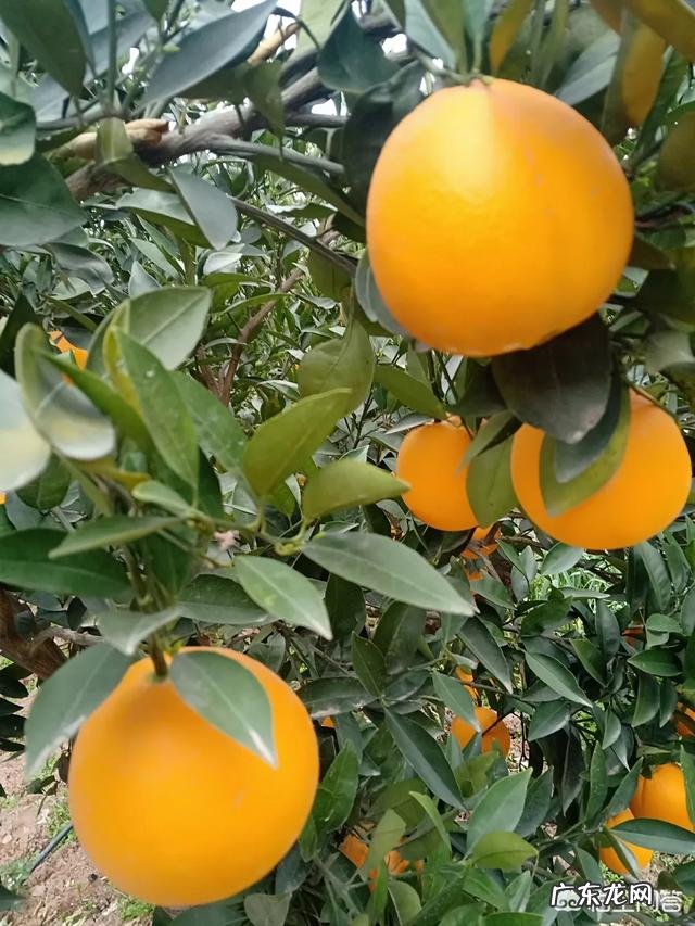 乡村振兴还得靠年轻人? 农村还能不能留住年轻人?