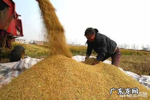 制约农村发展的主要原因? 有人认为制约着农村农业的发展就是资金,农民借款太难了,必须解决这个环节,你怎么看?