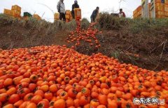 制约农村发展的主要原因？ 有人认为制约着农村农业的发展就是资金，农民借款太难了，必须